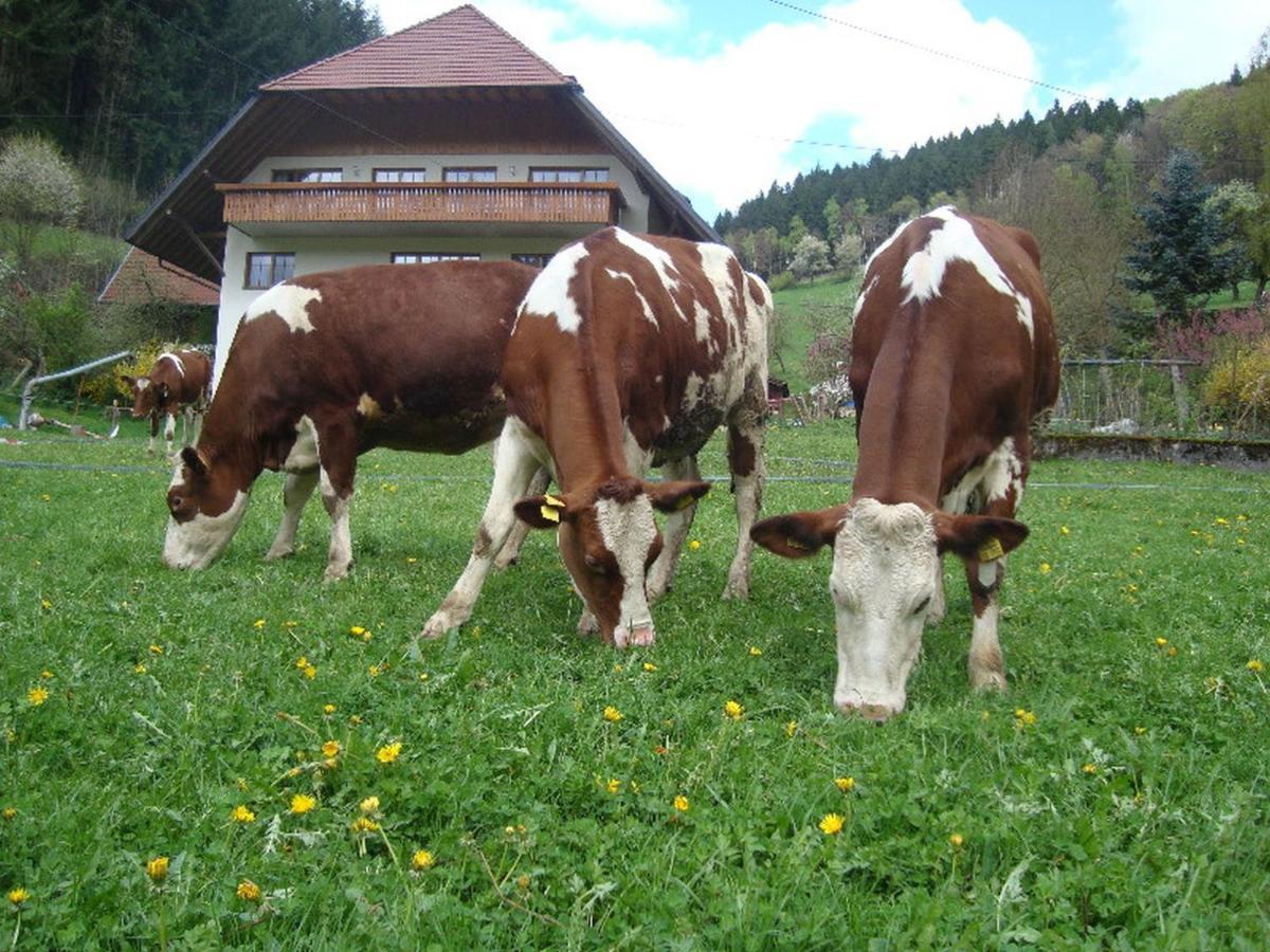 Apartamento Geigerbauernhof Mühlenbach Exterior foto