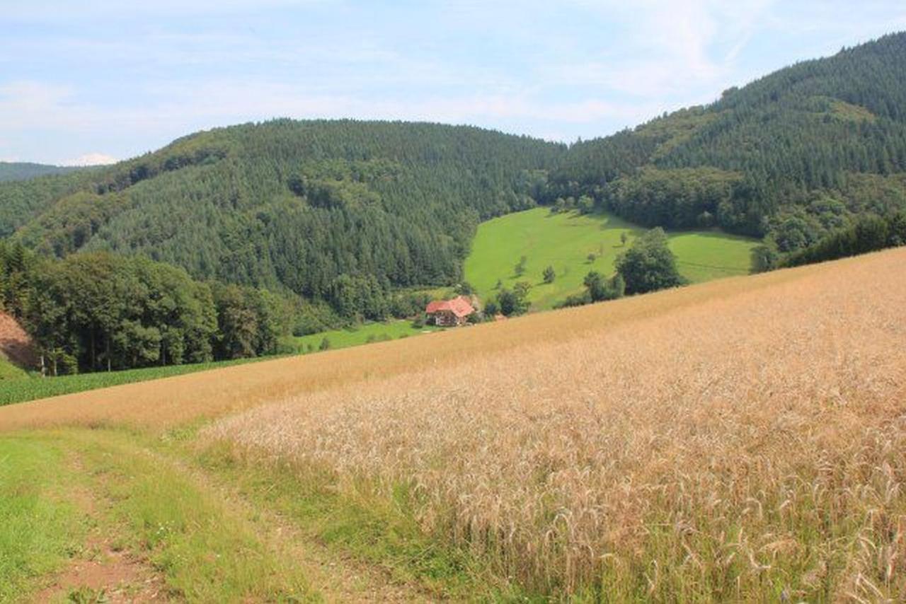 Apartamento Geigerbauernhof Mühlenbach Exterior foto
